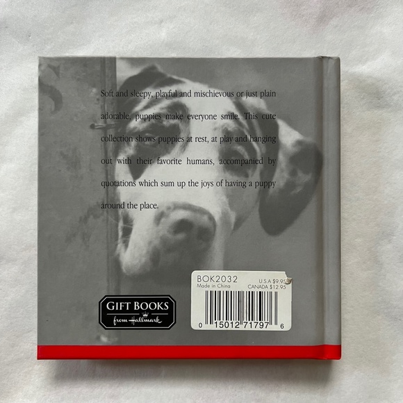 BARGAIN BUNDLE: 5 book bundle about cute dogs, cats, etc. - for animal lover… - Picture 14 of 15